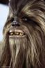 Wookiee