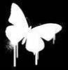 Butterfly-