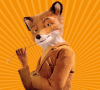 Mr. FOX