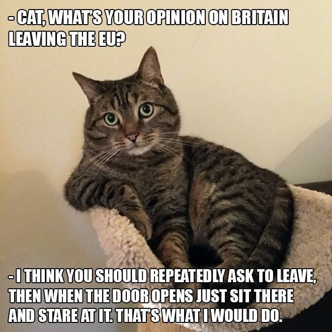 image.png.e728590d59cca13d7766e72698b04dd3.png