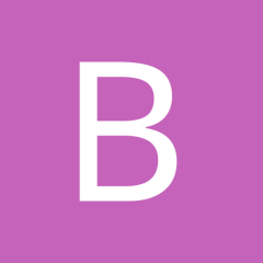 b29page