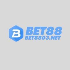 bet8803net