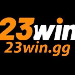 23wingg