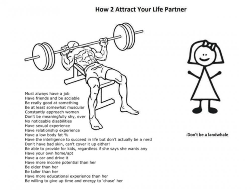 copyImage.thumb.jpg.d0959a5cfc052fbb79f8473d291f5ecf.jpg