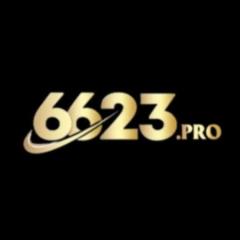 6623pro