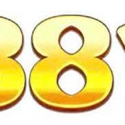 88vvyoga