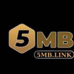 5mblink1
