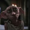 Dr.Dobby
