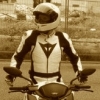 shark88