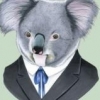 DerKoala