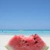 R_Holiday