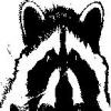 The_Coon